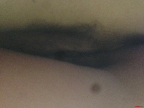 08f17eda6feaecb04af5a6134dad4b04.jpg