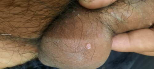 6a9e060c5d77589219083e1532da2ad9.jpg
