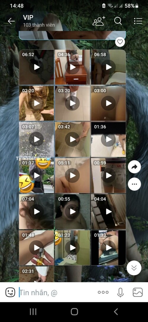 0ce8d4767498b40a8e1638bb7539114e.jpg